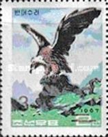 Black Vulture (Aegypius monachus)