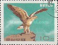 Eastern Buzzard (Buteo japonicus)