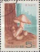 Gypsy mushroom (Pholiota caperata)