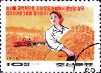 Grain harvest