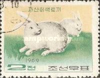 Domestic Rabbit (Oryctolagus cuniculus domesticus)