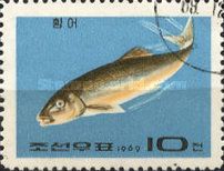 Dace fish