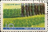 Tree nursery