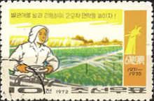 Improving Agriculture