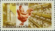 Factory Farming and chicken
