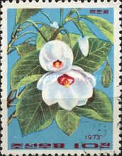 Jasmine