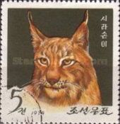 Eurasian Lynx (Lynx lynx)