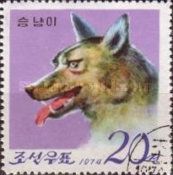 Dhole (Cuon alpinus)