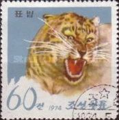Leopard (Panthera pardus)