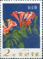 Chinese trumpet vine