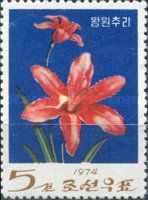 Day lily (Hemerocallis)