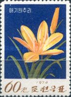 Yellow day lily (Hemerocallis minor)