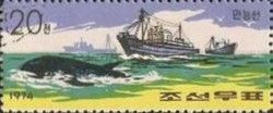 Whale hunting ship