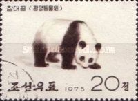 Giant Panda (Ailuropoda melanoleuca)