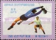 Players and Stadium