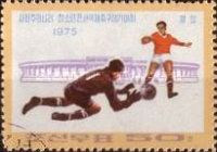 Players and Stadium