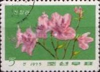 Azalea