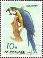 Blue-and-yellow Macaw (Ara ararauna)