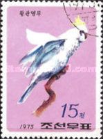 Sulphur-crested Cockatoo (Cacatua galerita)