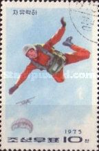 Parachutist in free fall