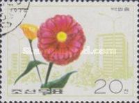 Zinnia