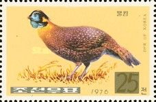 Temminck's Tragopan (Tragopan temminckii)