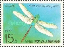Lesser Emperor (Anax partherope ssp. julius)