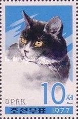 Cats