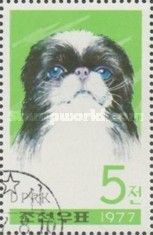 Pekinese (Canis lupus familiaris)