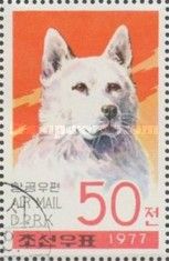Pungsang (Canis lupus familiaris)