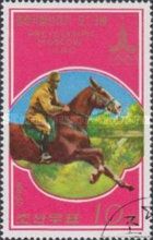 Cross Country, Horse (Equus ferus caballus)