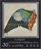 Wing of a Bird