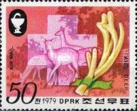 Antlers and Sika Deer (Cervus nippon)