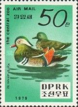 Mandarin Duck (Aix galericulata)