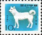 Dog (Canis lupus familiaris)
