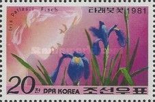 Iris pallasii