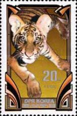 Tiger (Panthera tigris)