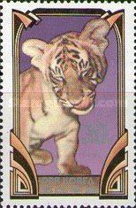 Tiger (Panthera tigris)