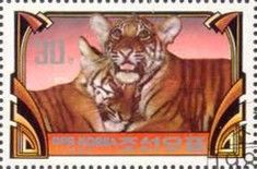 Tigers