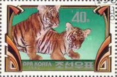 Tigers