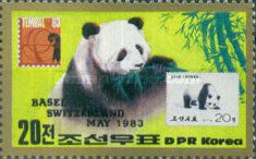 Giant Panda (Ailuropoda melanoleuca)