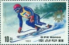 Skier