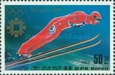 Ski jumper