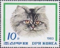 Domestic Cat (Felis silvestris catus)
