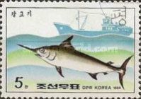 Swordfish (Xiphias gladius)