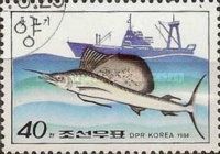 Pacific Sailfish (Istiophorus orientalis)