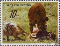 Spotted Hyena (Crocuta crocuta)