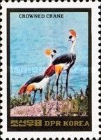 Grey Crowned Crane (Balearica regulorum)