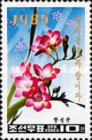 Freesia refracta