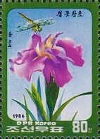 Iris sp.